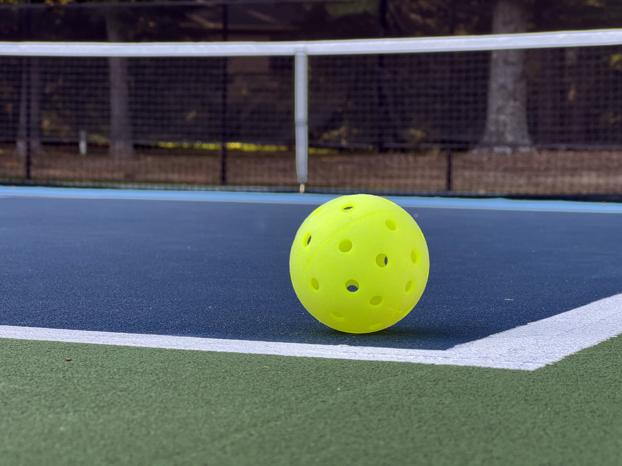 Williamsburg Pickleball