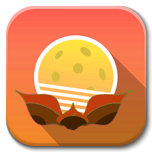 Williamsburg Pickleball